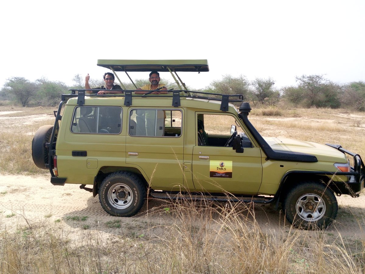 Best Kenya Safaris