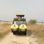 Uganda Tours