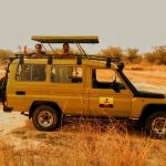 Kenya Safari Experiences