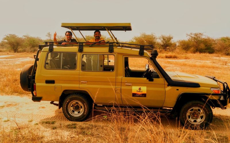 Kenya Safari Experiences