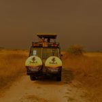 Kenya Safari Experiences