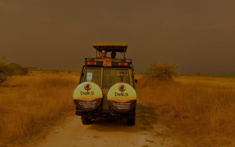 Kenya Safari Experiences