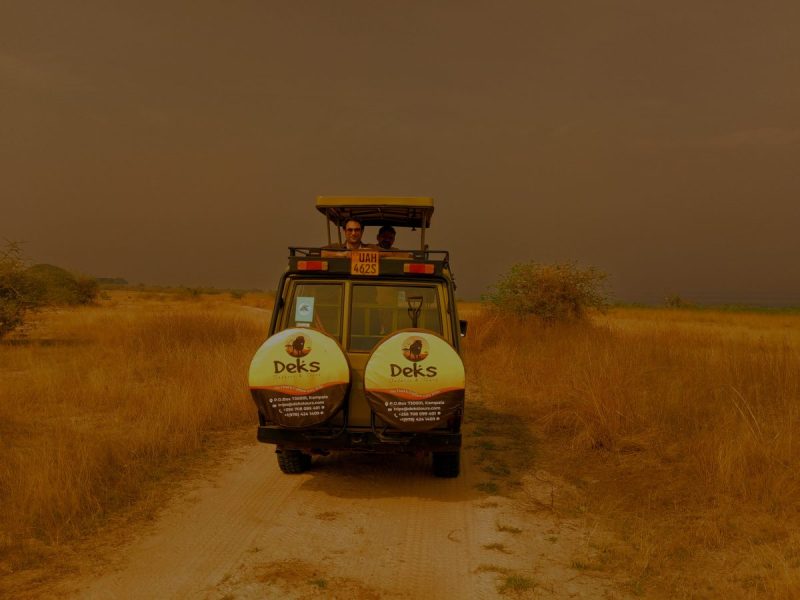 Kenya Safari Experiences