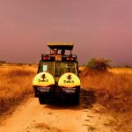 7 Days Tanzania Safari