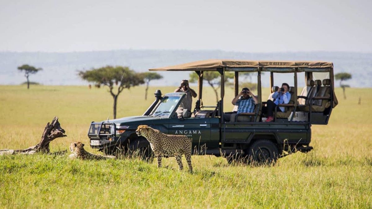 Tanzania Safari Experiences