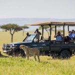 Tanzania Safari Experiences
