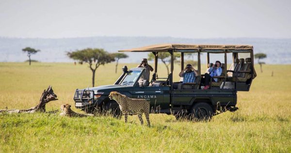 Tanzania Safari Experiences