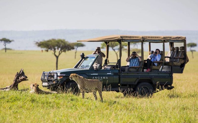 Tanzania Safari Experiences