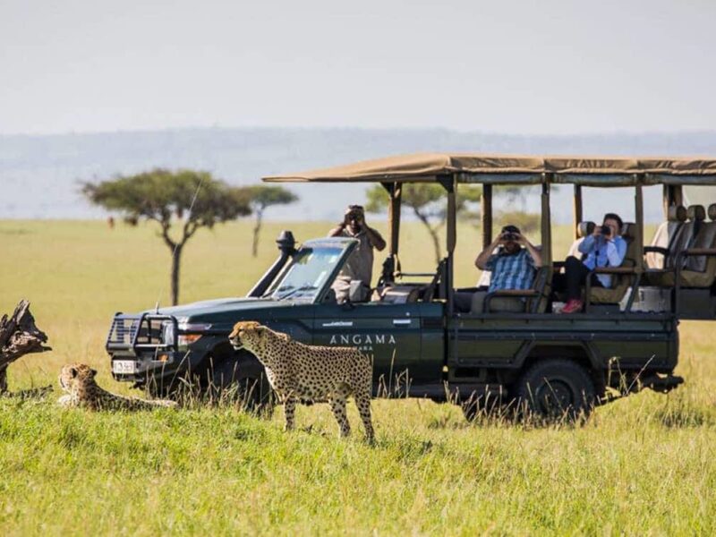 Tanzania Safari Experiences