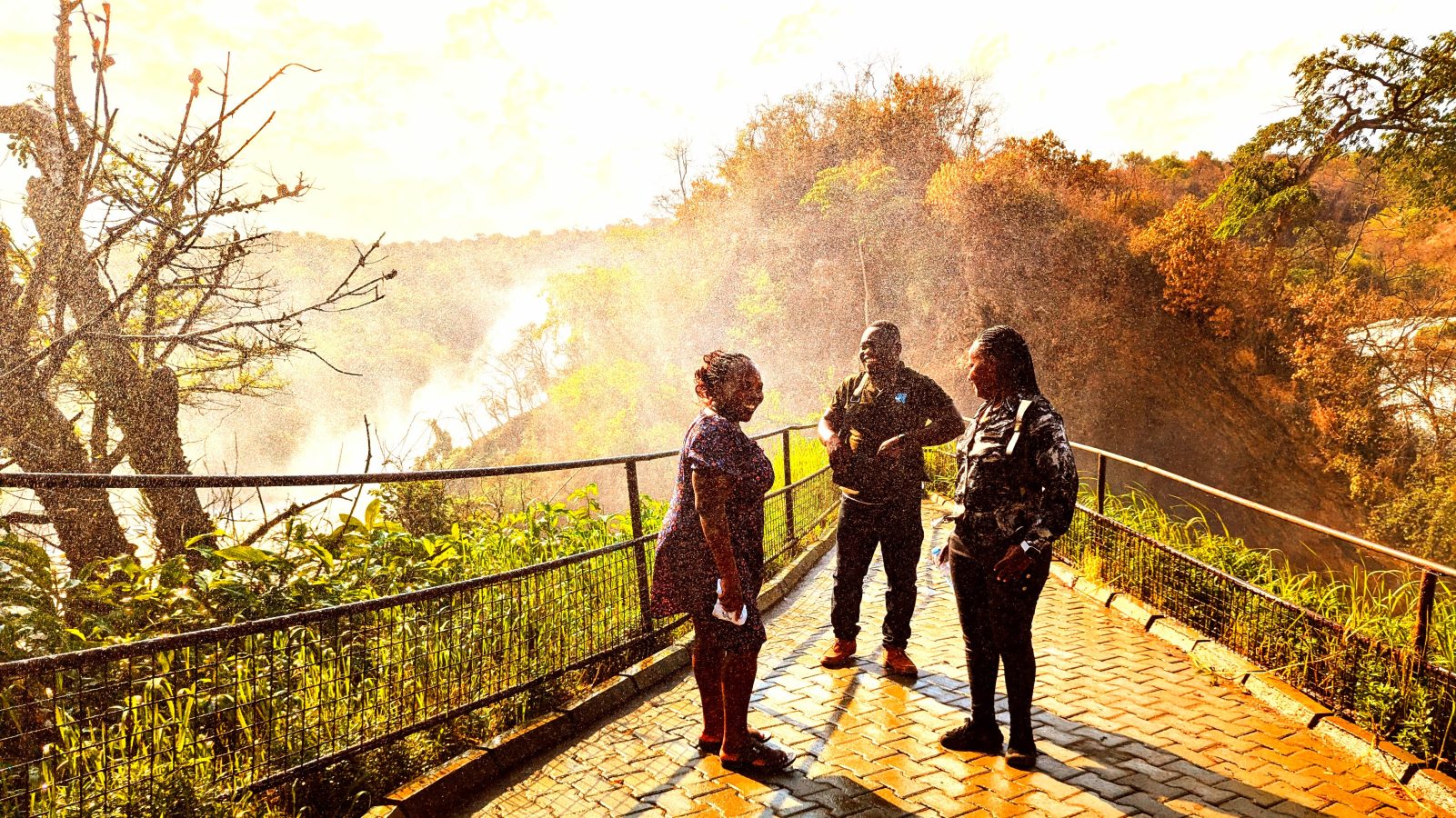 Uganda Safari Experience