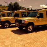 Tanzania Safari Experiences