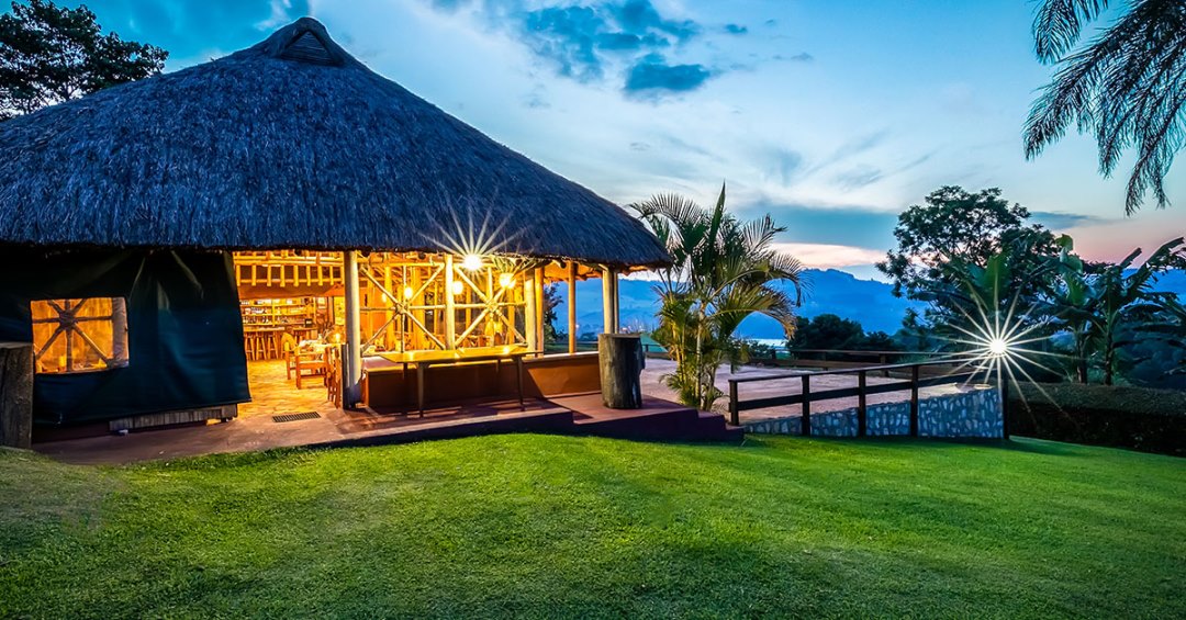 Chimpanzee Forest Lodge