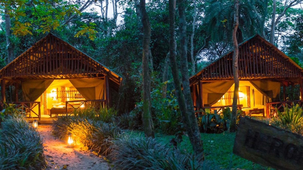 Kibale Forest Camp