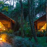 Kibale Forest Camp
