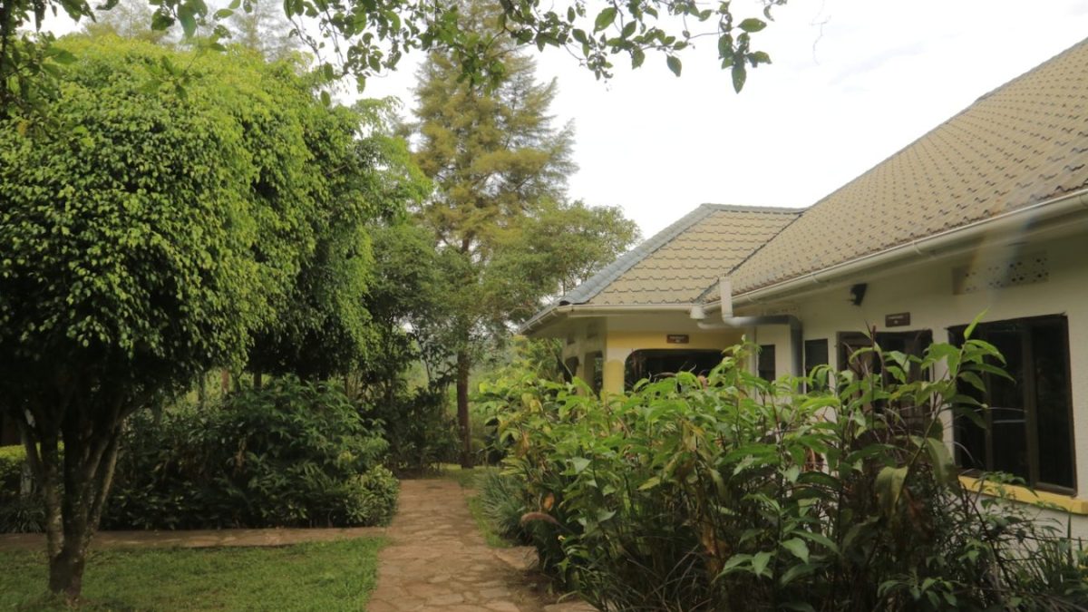 Kibale Forest Lodge