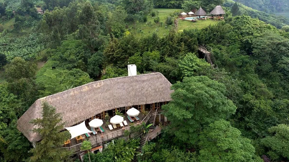 Papaya Lake Lodge