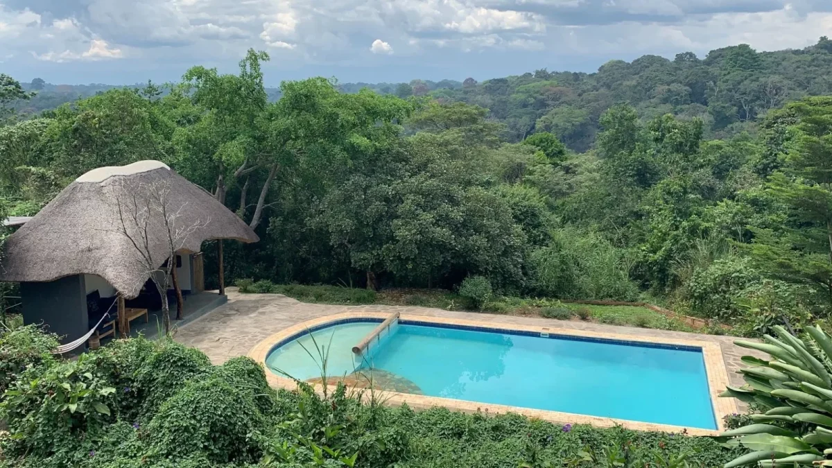 Turaco Treetops Lodge