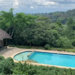 Turaco Treetops Lodge