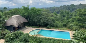 Turaco Treetops Lodge