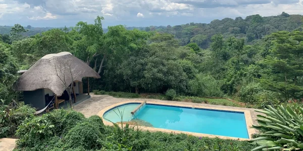 Turaco Treetops Lodge