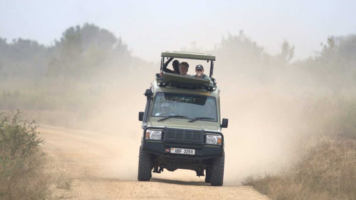 Uganda Safari Experience