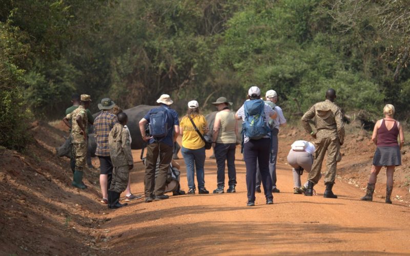 Ziwa Rhino Tracking Safari