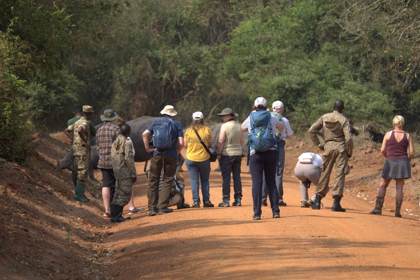 Ziwa Rhino Tracking Safari