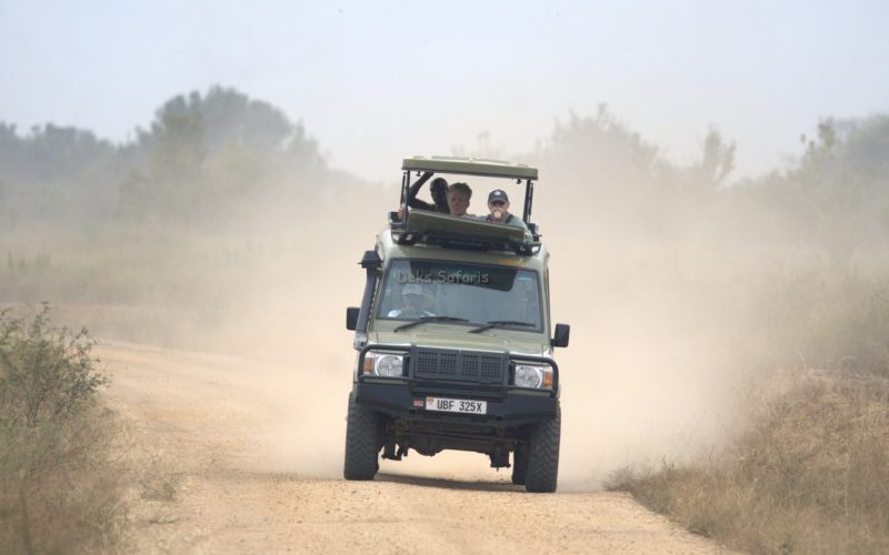 Uganda Safari Experience