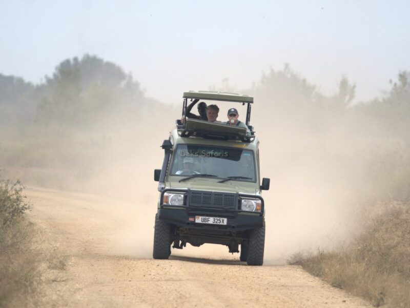 Uganda Safari Experiences Uganda Safari Experience