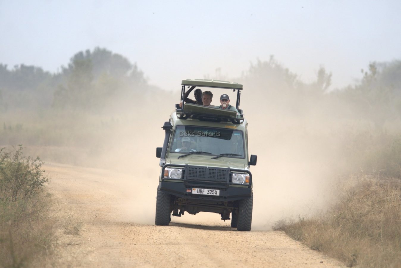 Uganda Safari Experience