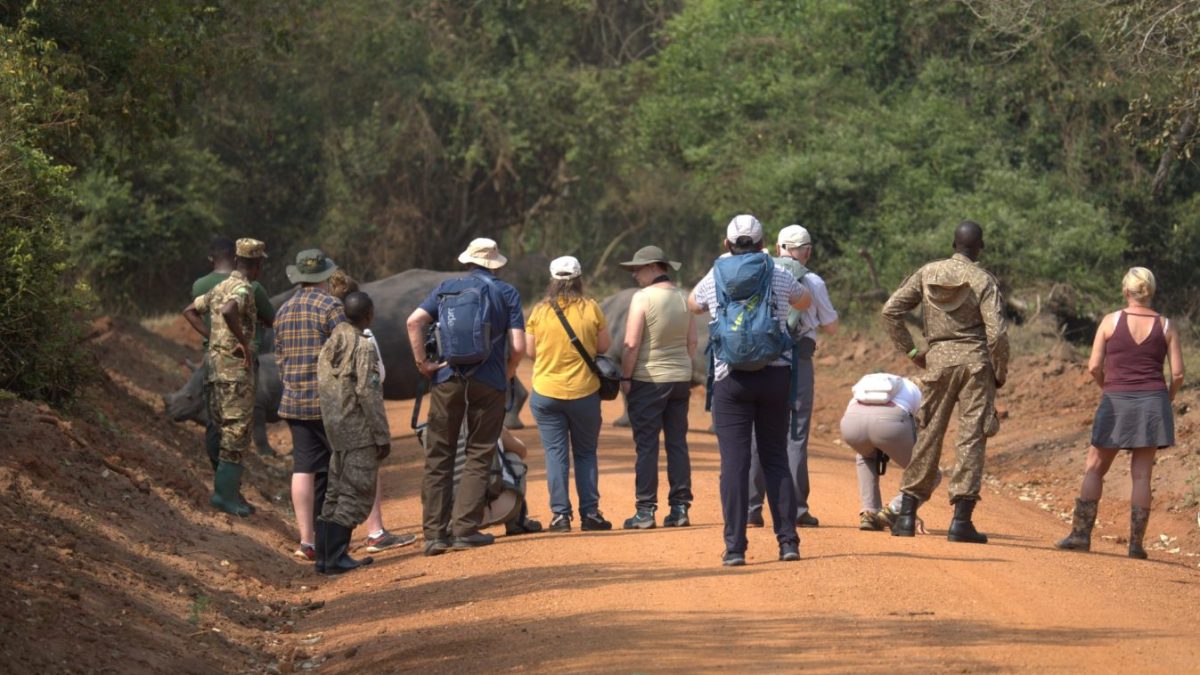 Ziwa Rhino Tracking Safari