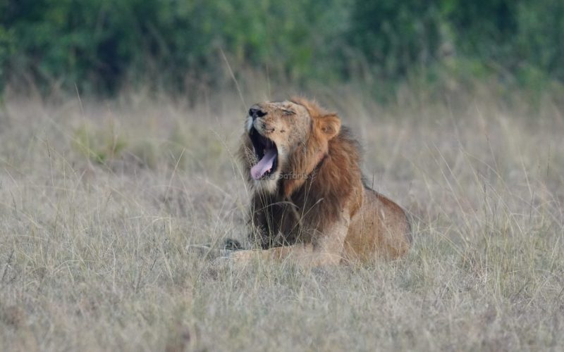 Tanzania Uganda Tours