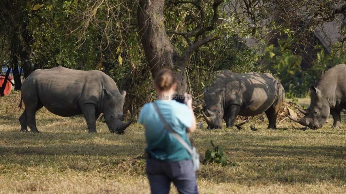 Rhino Tracking Uganda Tours