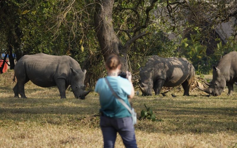 Rhino Tracking Uganda Tours