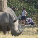 Hiking to the Top of Ngorongoro Crater