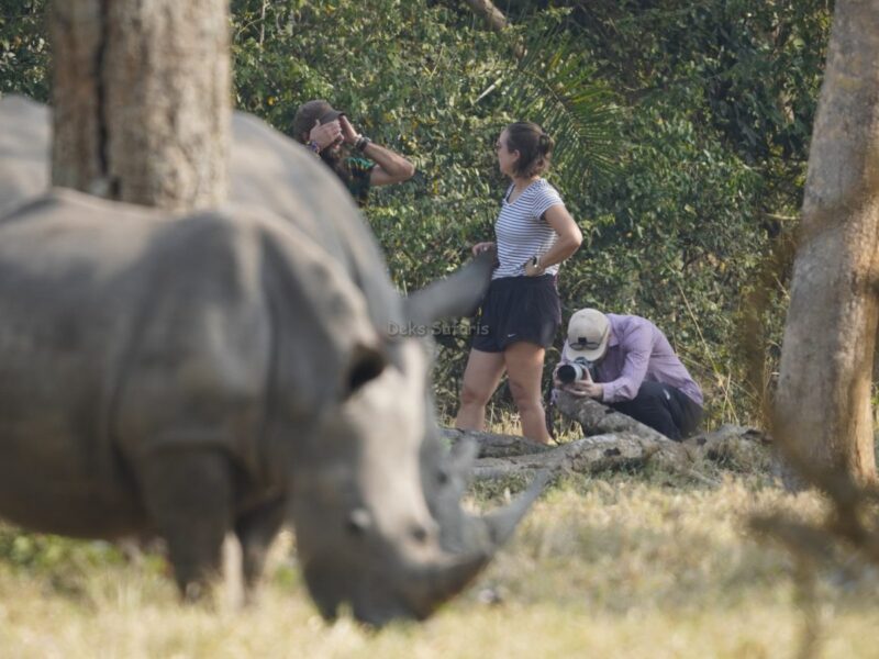 Hiking to the Top of Ngorongoro Crater Hiking to the Top of Ngorongoro Crater