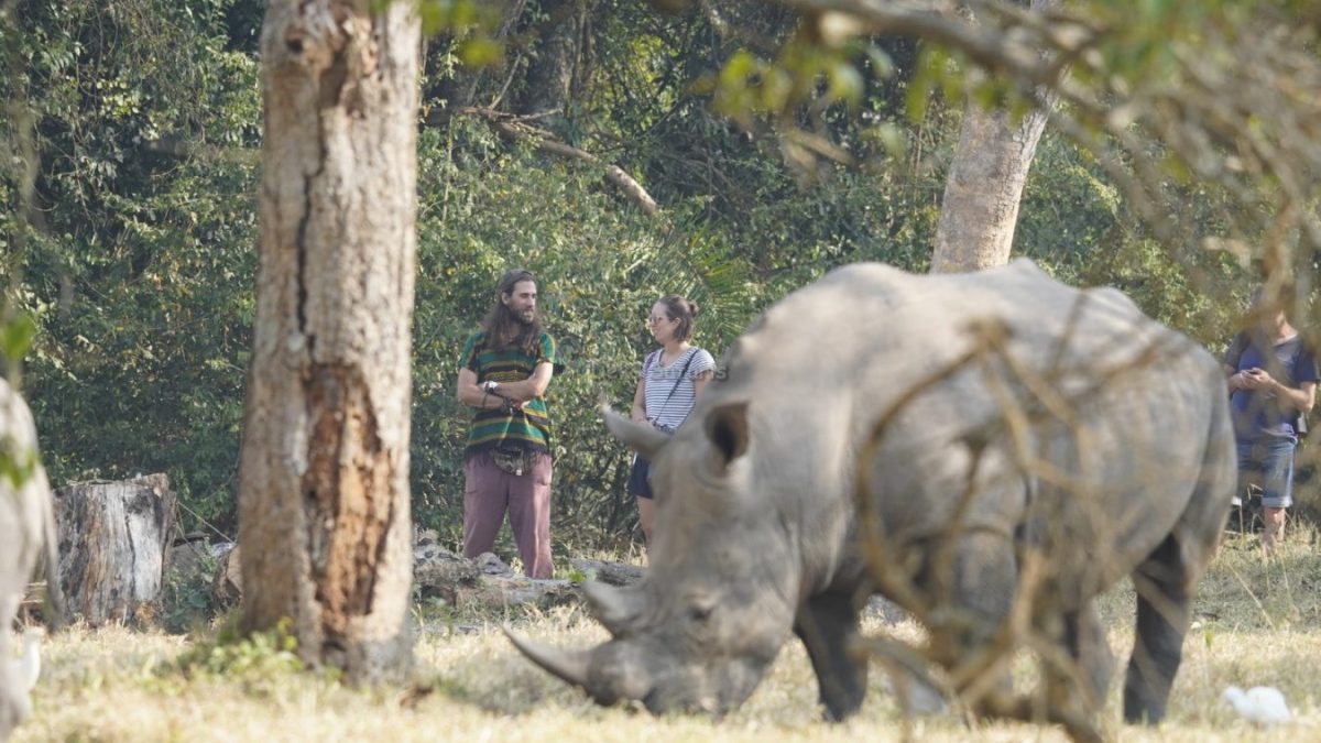 10 Days Kenya and Tanzania Safari