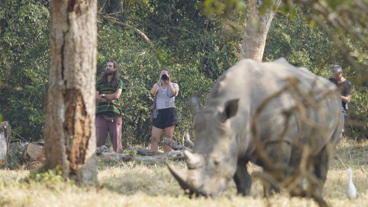 1O-Day Kenya Uganda Safari Experience