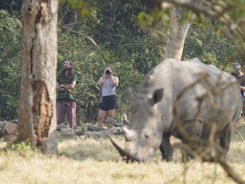 1O-Day Kenya Uganda Safari Experience