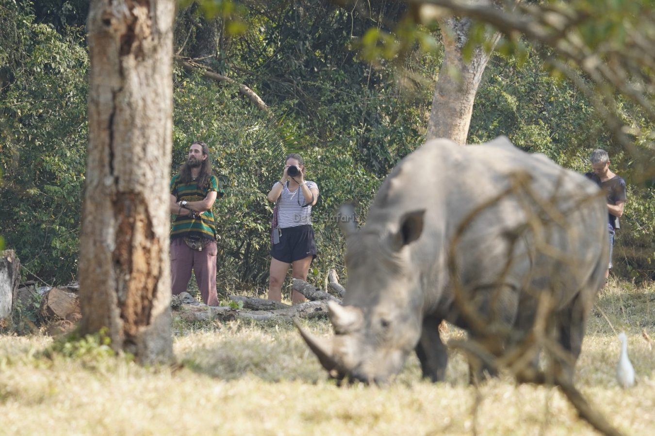 Uganda Big Five Safari and Primates Tracking