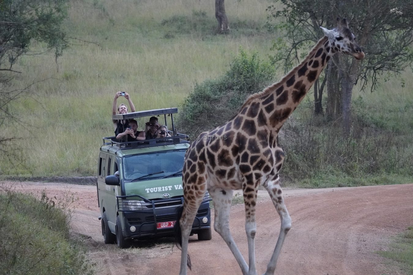 Rwanda Luxury Safari