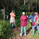 The Role of Porters in Your Gorilla tracking Safari