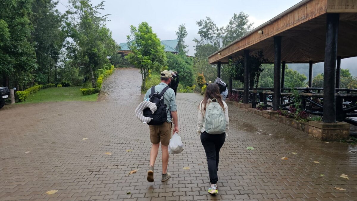 Rwanda Gorilla Safari Packages