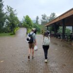 Rwanda Gorilla Safari Packages
