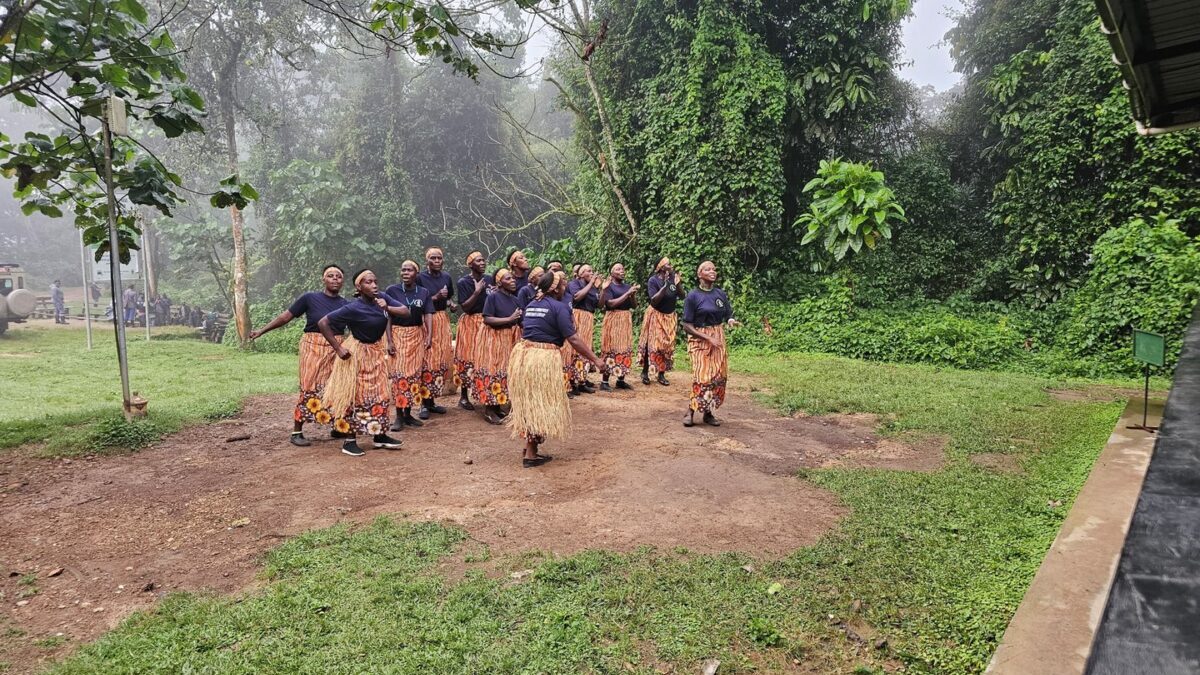 Best Kenya Rwanda Safari