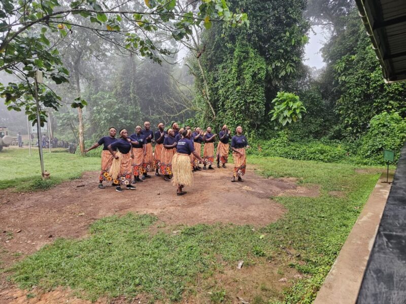 Best Kenya Rwanda Safari