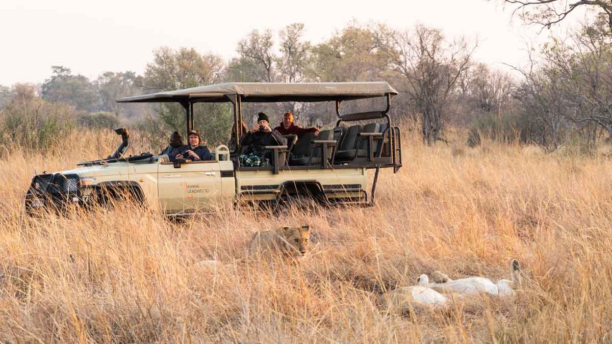 Linyanti Afternoon Game Drive