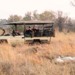 Linyanti Afternoon Game Drive
