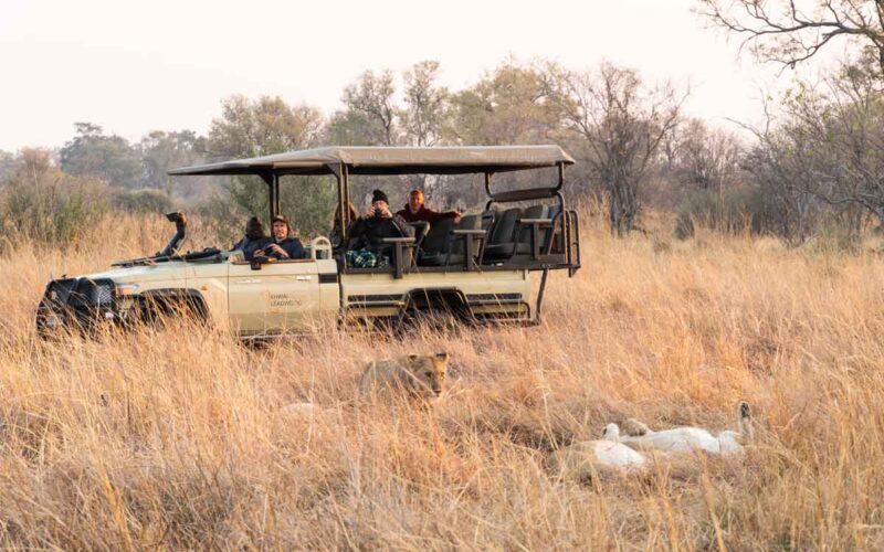 Linyanti Afternoon Game Drive