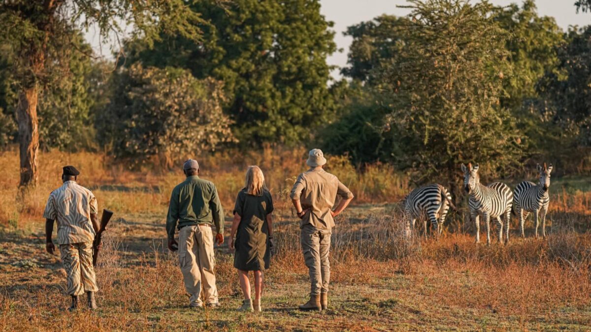 Botswana and Rwanda Luxury+ Safari